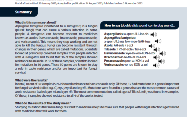 Aspergillus fumigatus (shortened to A. fumigatus) is a fungus (plural: fungi) that can cause a serious infection in some people. A. fumigatus can become resistant to medicines known as azoles (isavuconazole, itraconazole, posaconazole, and voriconazole). This means they stop working and are not able to kill the fungus. Fungi can become resistant through changes in their genes, which are called mutations. Scientists looked at previously collected samples from people infected with A. fumigatus and found that 36 of the samples showed resistance to an azole. In 35 of these samples, scientists looked for mutations in 50 genes. These 50 genes are known to play a role in azole resistance and/or are important for fungal survival.