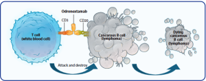 A figure depicting the mechanism of action of the medicine
